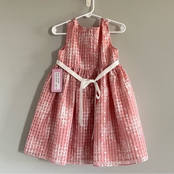 Katie M Girls 4T Sleeveless Pink Dress - Picture 2 of 4